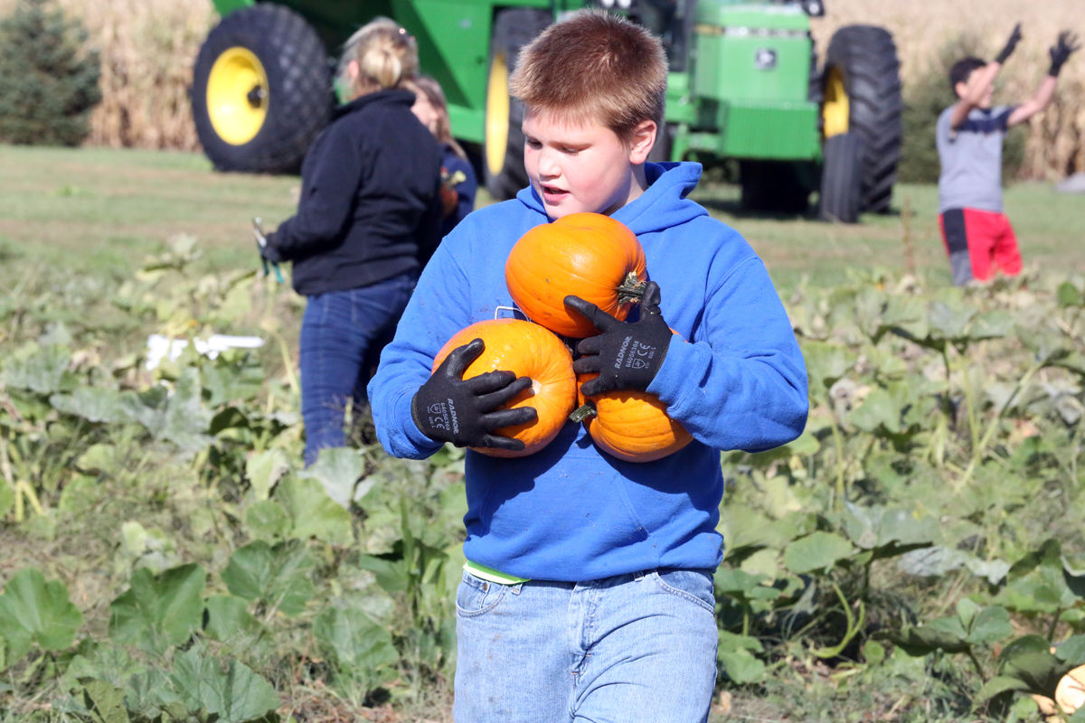 St Joseph Pumpkin Patch (26).jpg